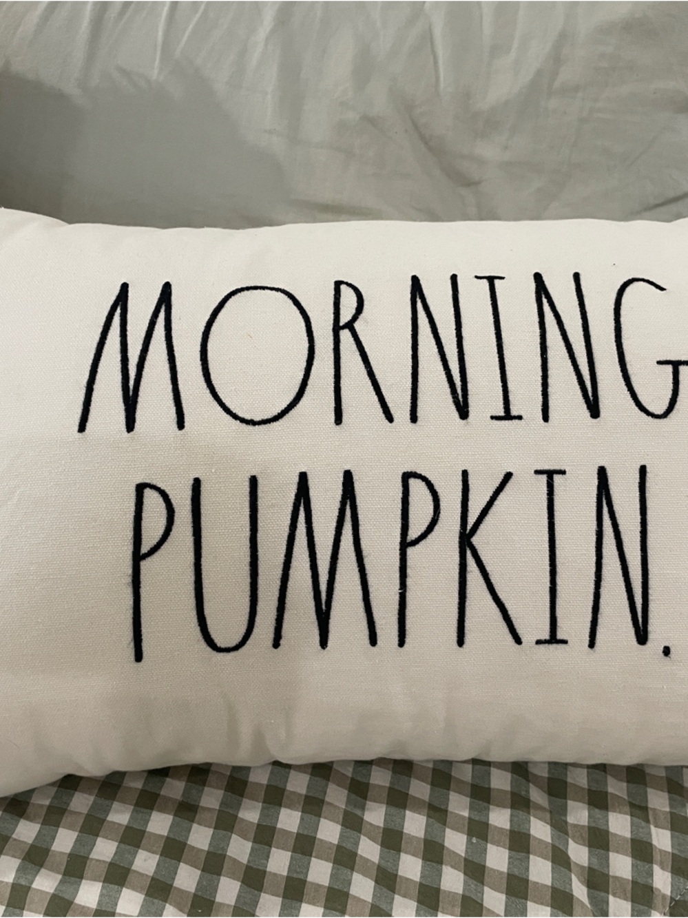 Rae Dunn Morning Pumpkin Accent Pillow - White